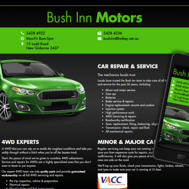 Bush Inn Motors