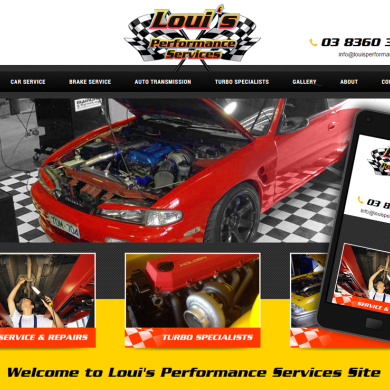 Louis Performance Services