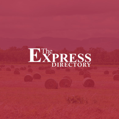 Express Directory Thumbnail
