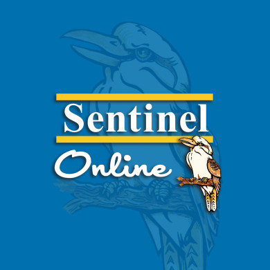 Sentinel Online